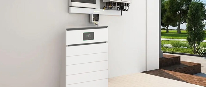 Community and School